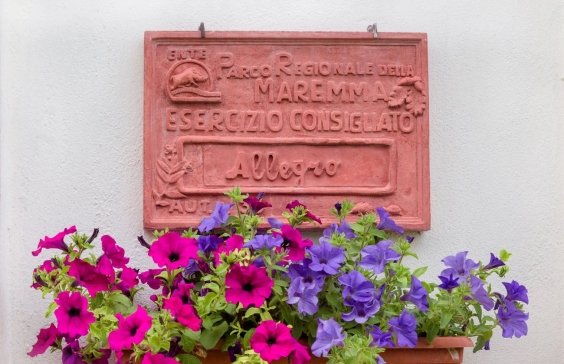 Offerte agriturismo Alberese